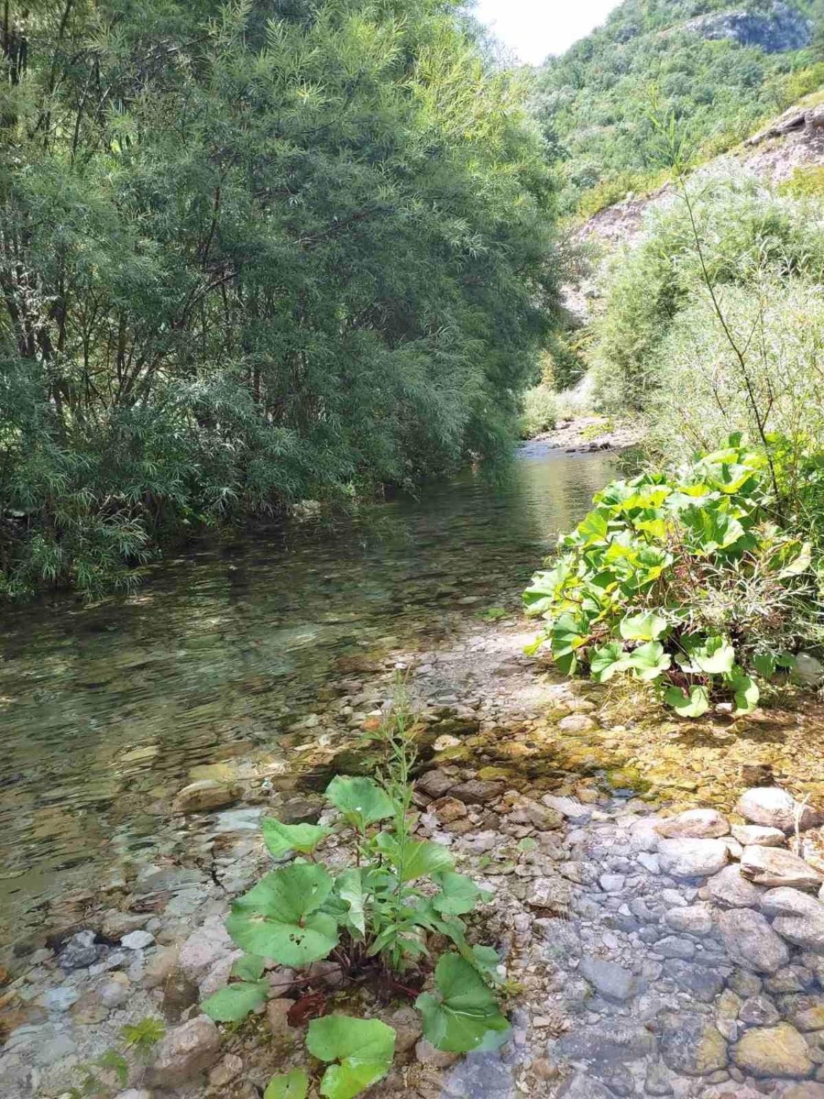 Kuca Za Odmor Diva Βίλα Μόσταρ Εξωτερικό φωτογραφία