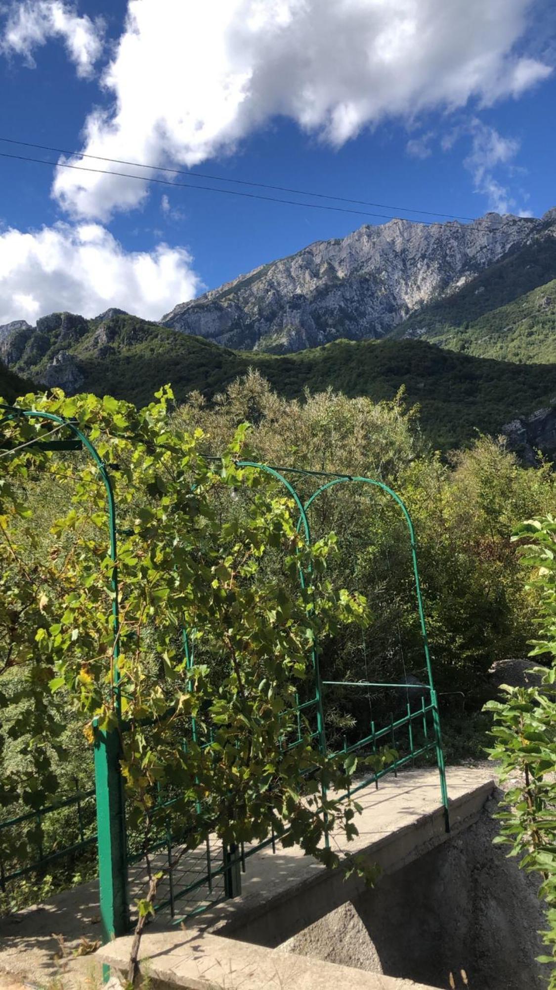 Kuca Za Odmor Diva Βίλα Μόσταρ Εξωτερικό φωτογραφία